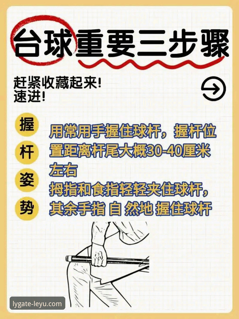揭秘乐鱼体育服务背后的真相：新手也能轻松上手的完整指南